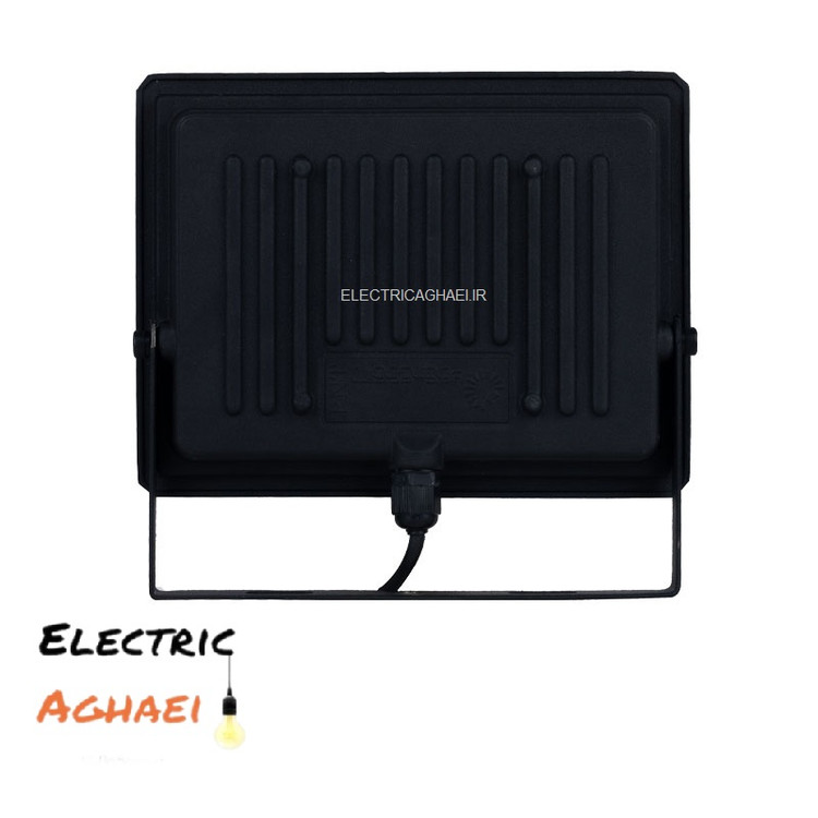 پرتونورتوس